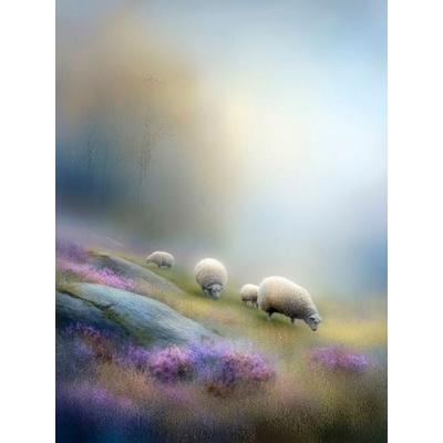 CALVENDO Puzzle Schafe am Berghang - fast verschwunden, ganz präsent | 1000 Teile Lege-Größe 64x48cm Foto-Puzzle für glückliche Stunden, Sonstige von
