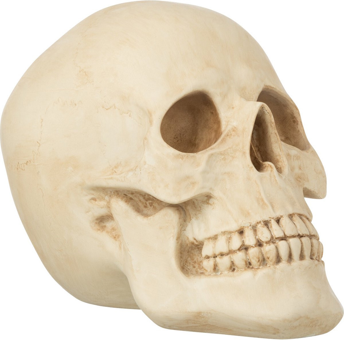 J-Line Decoratie Schedel - Beige - Large - Polyresin