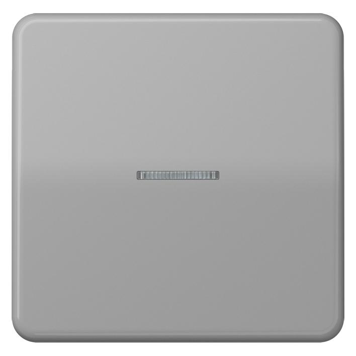 JUNG Kontrollwippe Schalter CD gr glz CD590KO5GR (CD590KO5GR)