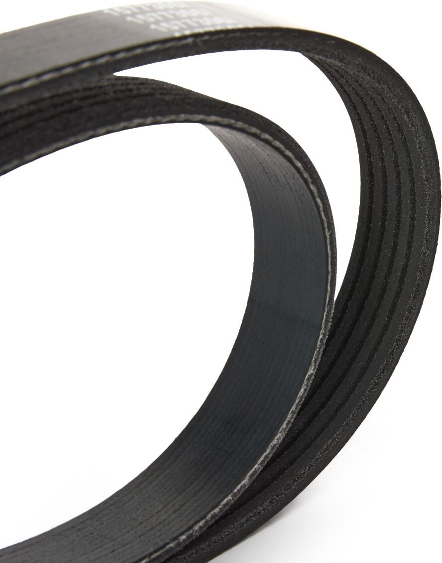 RIDEX 305P0674 Multiriem
