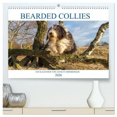 BEARDED COLLIES 2026 (hochwertiger Premium Wandkalender 2026 DIN A2 quer), Kunstdruck in Hochglanz