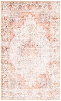 SAFAVIEH Arizona Ivanna Vintage Rug