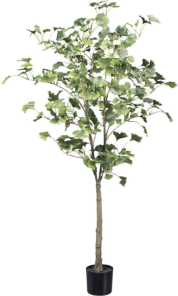 kaiserkraft Künstliche Pflanze Gingkobaum, Kunststofftopf, Höhe 1200 mm