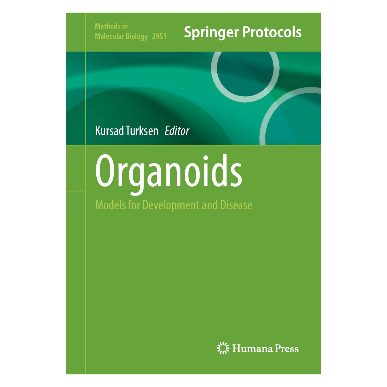 Springer Organoids (Englisch, Hardcover) (60239609)