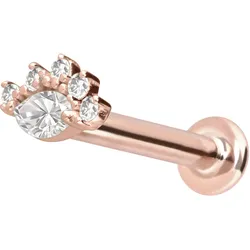 14 Karat Gold Labret mit Innengewinde MOISSANITE-AUGE