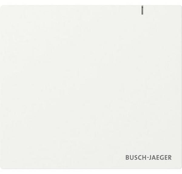 Busch-Jaeger BJ System Access Point 3.0 SAP.13-WL draadloos