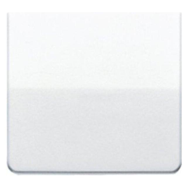 JUNG Wippe (CD590GB)