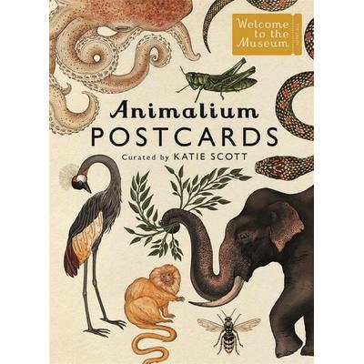 Animalium Postcards