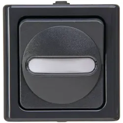 Kopp 560615007 BLUE ELECTRIC-Unischalter (Aus-/Wechsel) Farbe:anthrazit