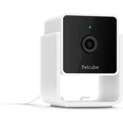 Petcube Haustierkamera (Katzenminzespielzeug), Katzenspielzeug