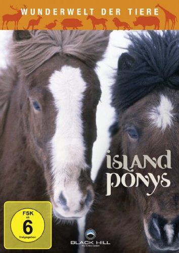 Pall Steingrimsson - Wunderwelt der Tiere - Island Ponys - Preis vom 04.10.2026 03:51:26 h