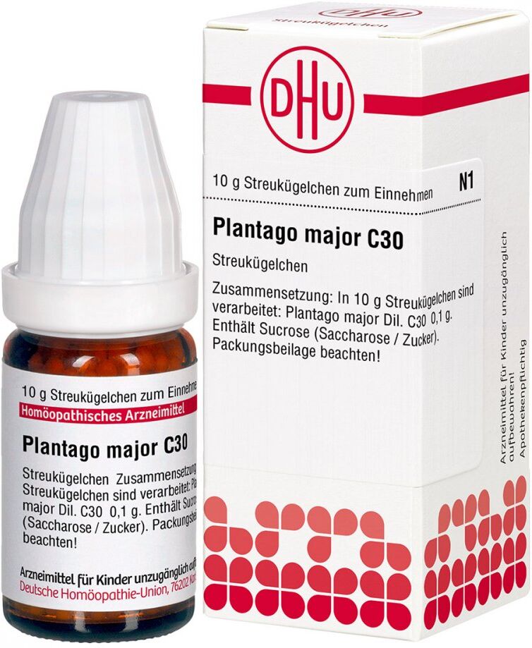 DHU Plantago Major C30 Globuli