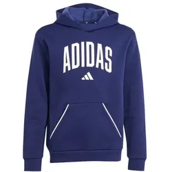 adidas Seasonals Essentials Collegiate Typography Hoodie Kinder -