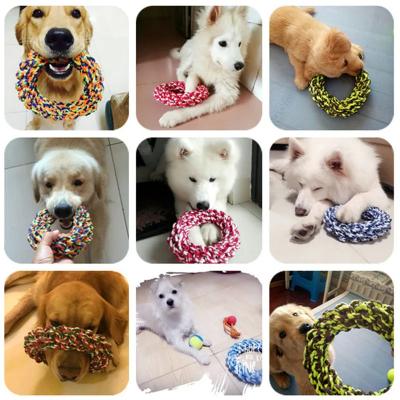 Happy Pet Pantry Durable Chew Rope Toy: Bite Resistant For Medium To Large Dog 19CM RANDOM