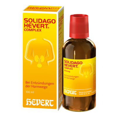 Hevert-Arzneimittel GmbH & Co. KG SOLIDAGO HEVERT Complex Tropfen 100 ml 04375323