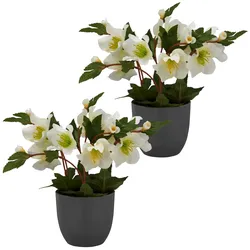 CREATIV green künstliche Pflanze Christrose, 23cm, weiß, 2er Set