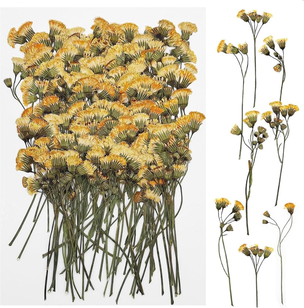 100 stuks natuurlijke gedroogde geperste bloemen voor hars, kaarsen en sieraden