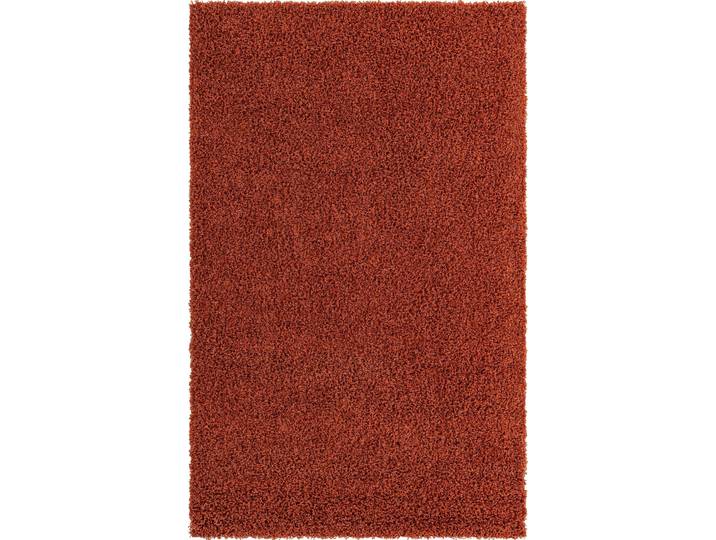 Hochflor-Teppich Shaggy Shag, LAGERRÄUMUNG , orange (terrakotta), B:152cm H:38mm L:244cm, Polypropylen (PP), MYFLAIR MÖBEL & ACCESSOIRES, Teppiche, Hochflor-Teppich, gewebt, Uni Farben, ideal im Wohnzimmer & Schlafzimmer