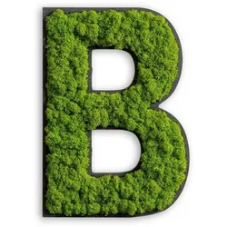 Moosbild Buchstabe Grün