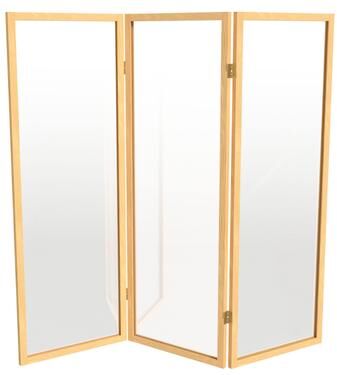 Red Lantern 4 ft. Short Clear Plastic Partition