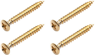 Warwick Screws for Bolt-On Necks G