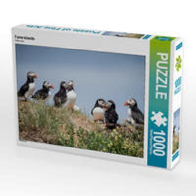 CALVENDO Puzzle Farne Islands 1000 Teile Lege-Größe 64 x 48 cm Foto-Puzzle Bild von N N