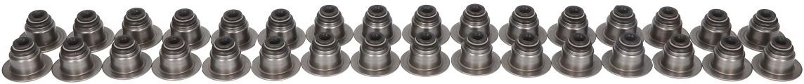 Mahle Set di guarnizioni, stelo valvola SS46079