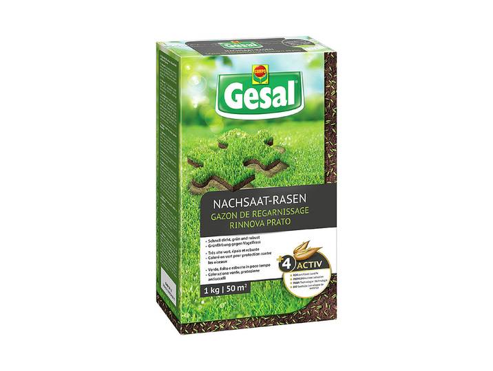 Gesal Nachsaat-Rasen 1 kg