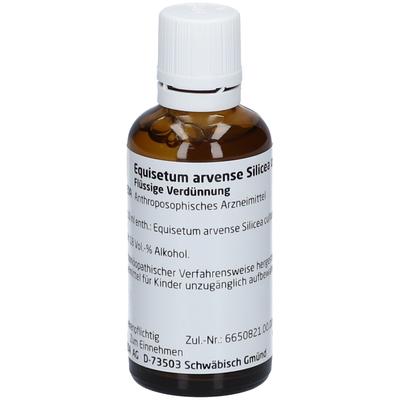 Equisetum Arvense Silicea cultum D 2 Dilution 50 ml