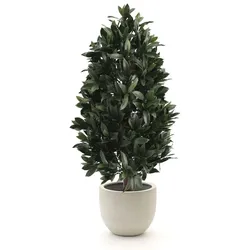 Designplants/Luca Lifestyle Lorbeer Pyramide Kunstpflanze (h:150 cm) mit Grigio New Egg Blumentopf