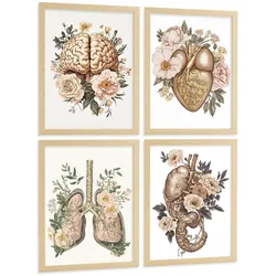 POSTER Set aus 4 Vintage Körper Anatomie Drucke mit Gehirn Herz Lungen Luftröhre Bronchien Nieren Verdauungssystem Magen Darm Größe Rahmenlos A3