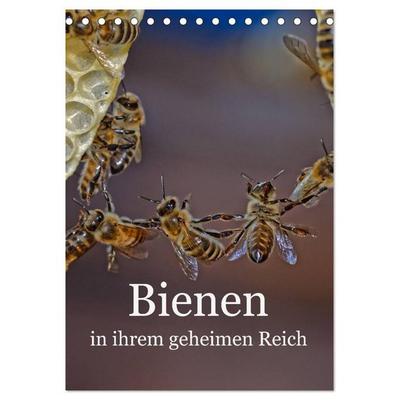 Bienen in ihrem geheimen Reich (Tischkalender 2026 DIN A5 hoch), CALVENDO Monatskalender