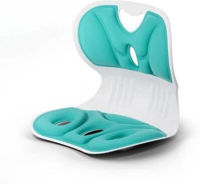 Inspired Living ErgoComfort Lumbar Support Pillow For All Day Back Relief green