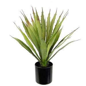 I.GE.A. Kunstpflanze Aloe Vera, im Topf, Höhe 38 cm