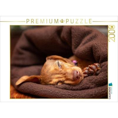 CALVENDO Puzzle Kuschelmaus | 2000 Teile Lege-Größe 90 × 67 cm Foto-Puzzle für glückliche Stunden