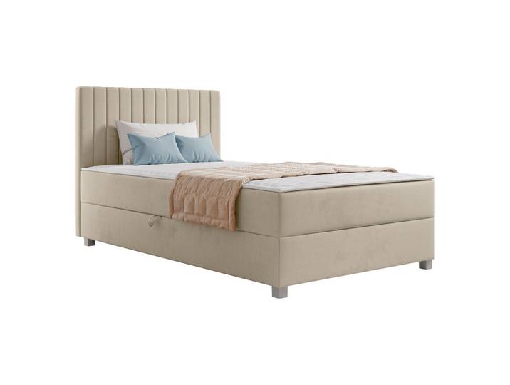 BOXBETT Viki - H3