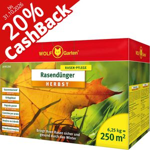 Wolf-Garten Dünger LK-B 250 Rasendünger Herbst, 20% Cashback, Langzeitwirkung, 6,25 kg für 250m²