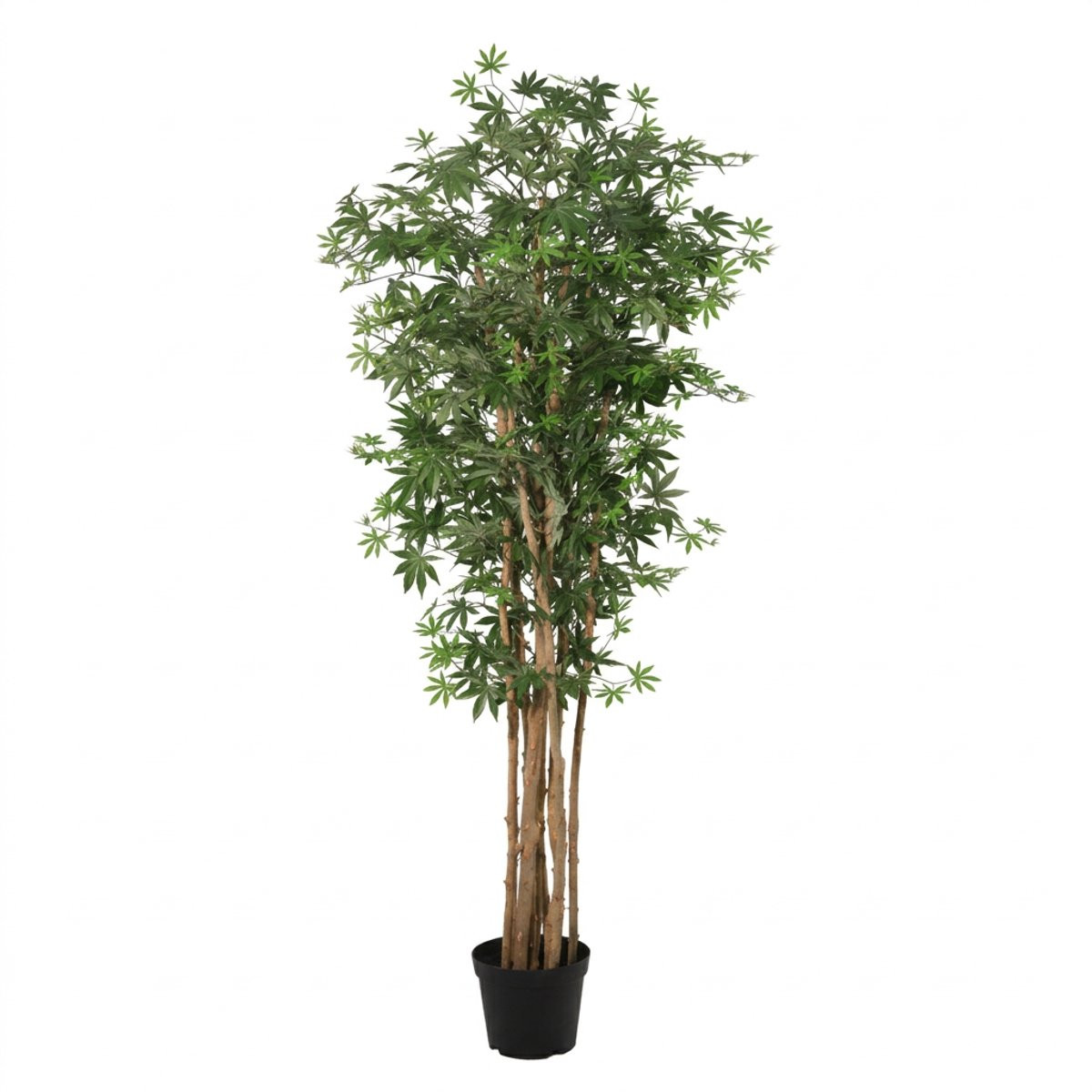 Florafy Kunstplant Japanse Esdoorn 180 cm