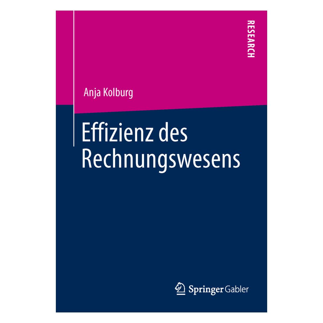 Springer Effizienz des Rechnungswesens (Deutsch, Softcover, Anja Kolburg) (55525481)