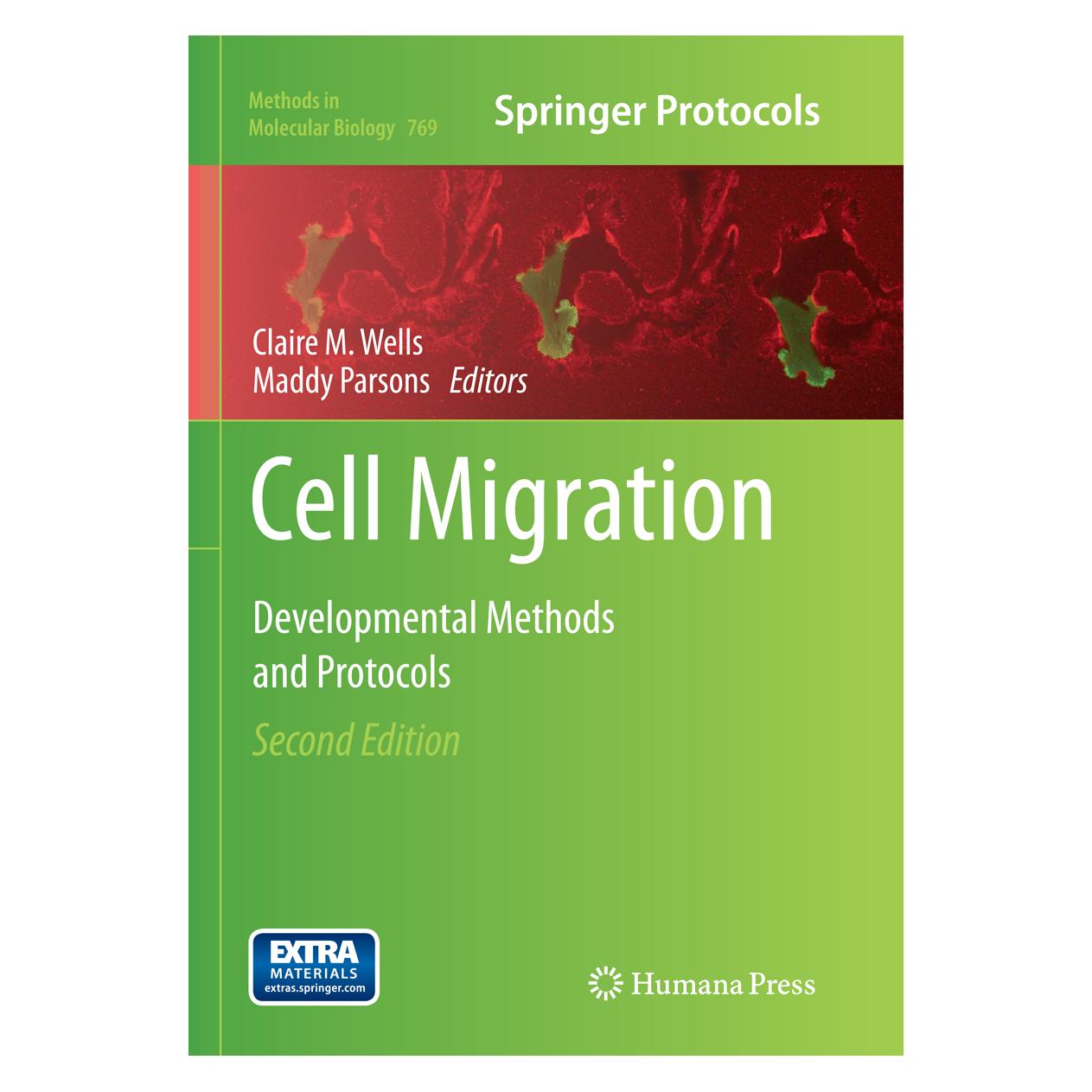 Springer Cell Migration (Englisch, Softcover, Claire M. Wells, Maddy Parsons) (55891357)