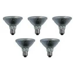 Halogenlampe | Große Fassung E27 | Spot | Matt | 124mm | 75W