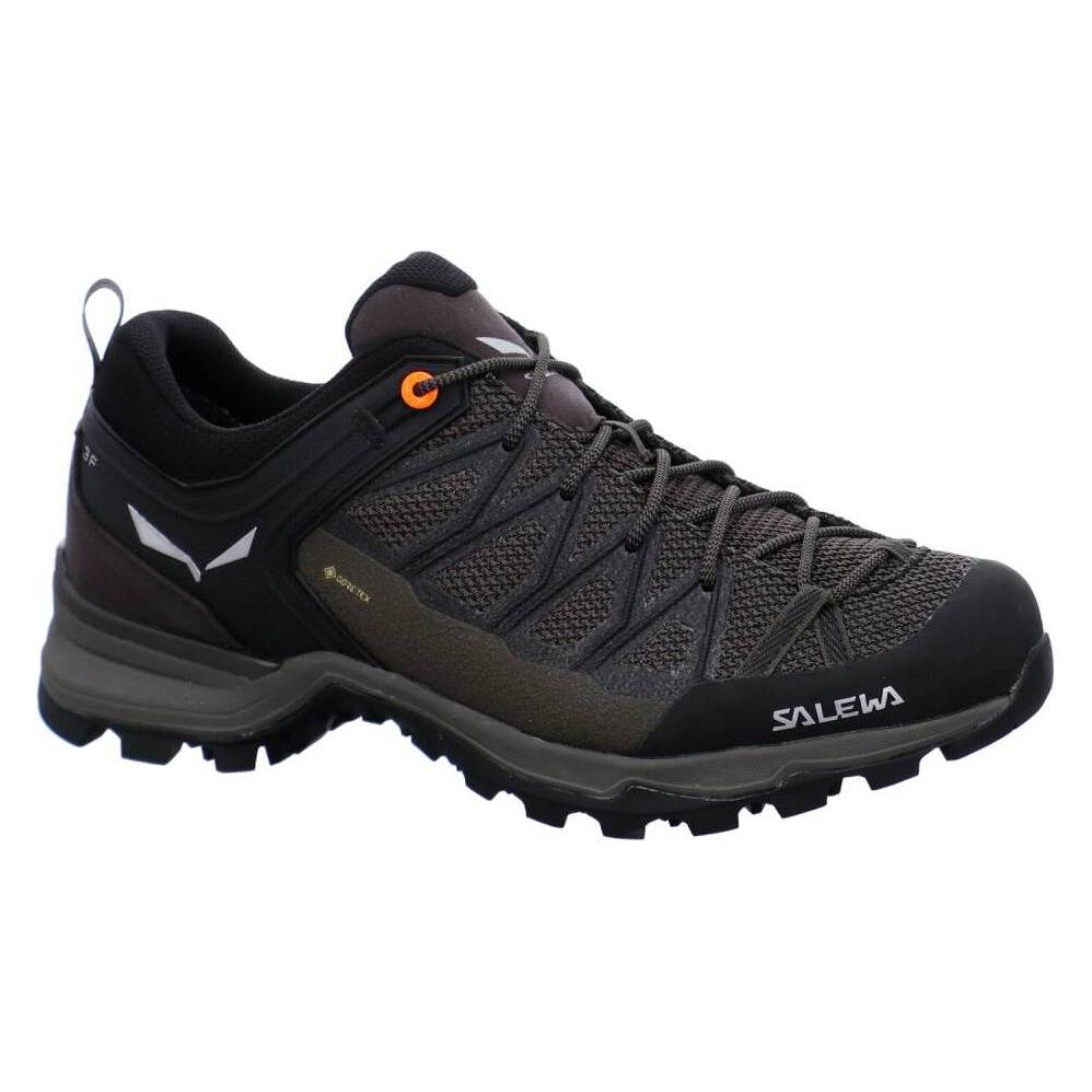 Salewa Mountain Trainer Lite GORE-TEX (47) (B08B1M7M2R)