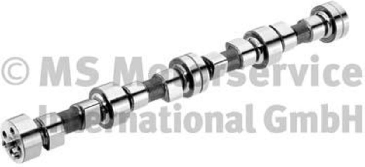 Nockenwelle BF 20100208340