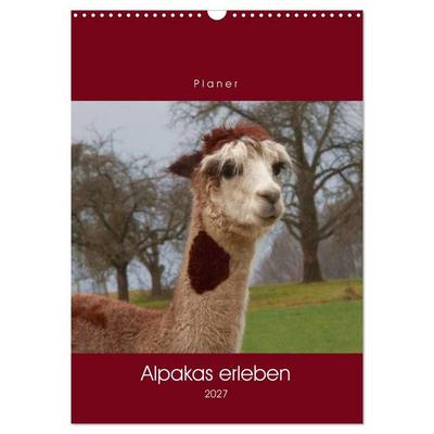 Alpakas erleben (Wandkalender 2027 DIN A3 hoch), CALVENDO Monatskalender