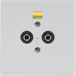 Jung Potential-Ausgl.Steckdose LS 965-2 LG LS965-2LG
