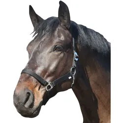 ELDORADO Pferde-Halfter Standard - schwarz - Pony