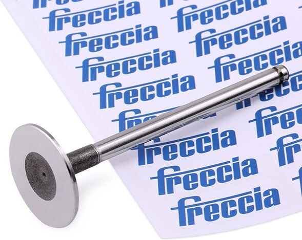 FRECCIA R4230/S Inlet valve