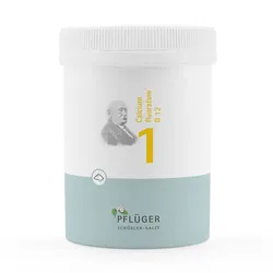 BIOCHEMIE Pflüger 1 Calcium fluoratum D 12 Pulver 250 g