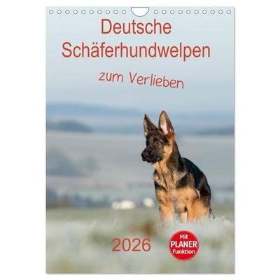Deutsche Schäferhundwelpen zum Verlieben (Wandkalender 2026 DIN A4 hoch), CALVENDO Monatskalender