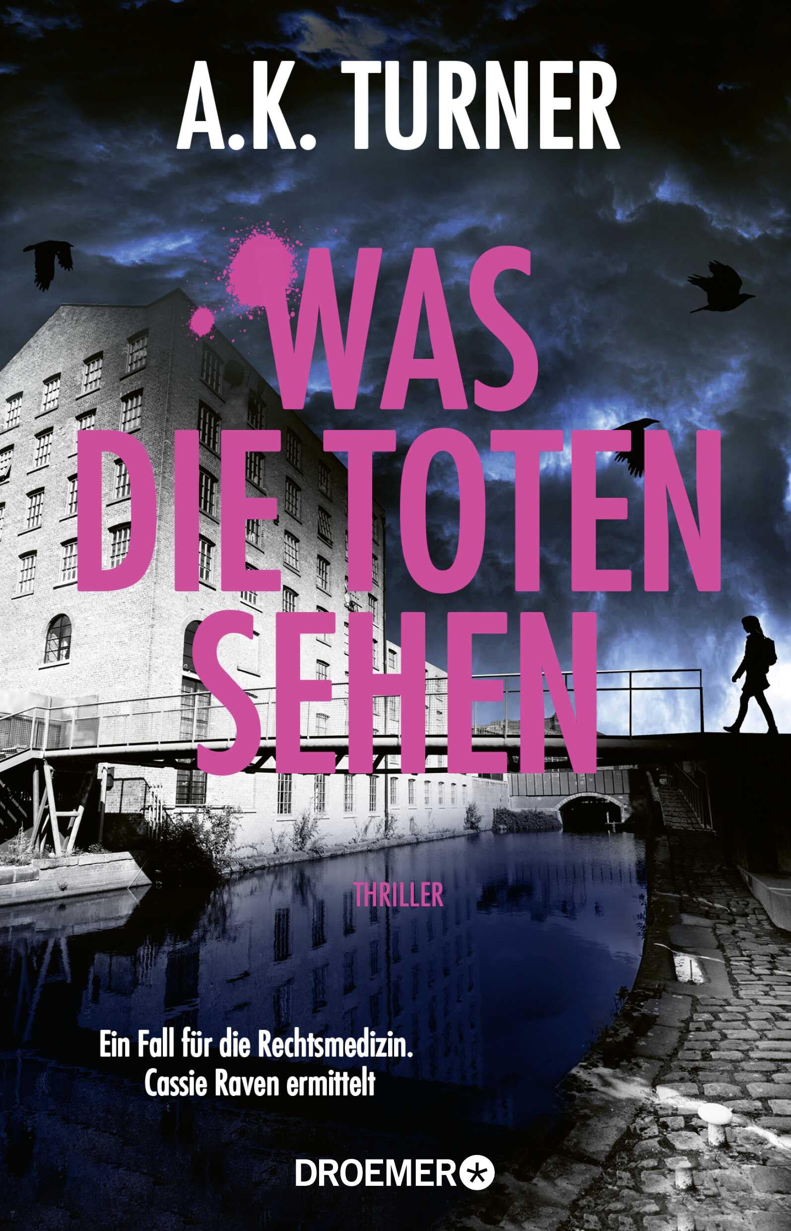 Turner, A. K. - Was die Toten sehen: Ein Fall für die Rechtsmedizin. Cassie Raven ermittelt (Raven & Flyte ermitteln, Band 4) - Preis vom 11.10.2026 03:10:56 h